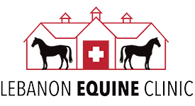 Lebanon Equine Clinic